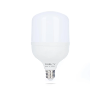 LED крушка - 30W TORCH - 3300 LUMEN